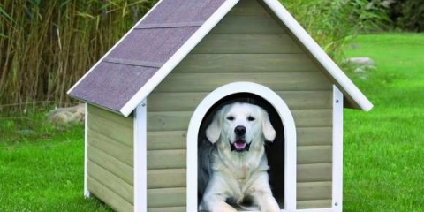 Kako napraviti kućicu za pse